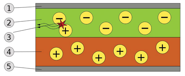 Schematic of a bi-layer OLED